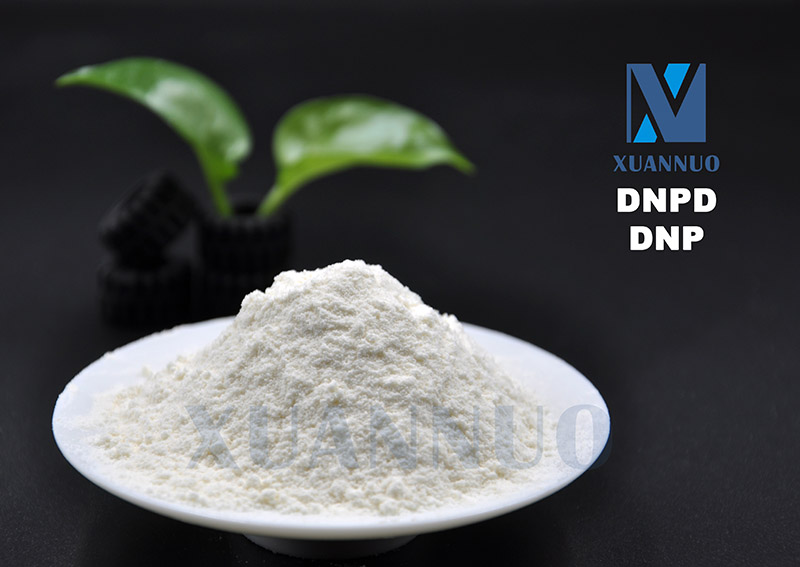 N,N'-Di-2-naphthyl-p-phenylenediamine,DNPD,DNP,CAS 93-46-9