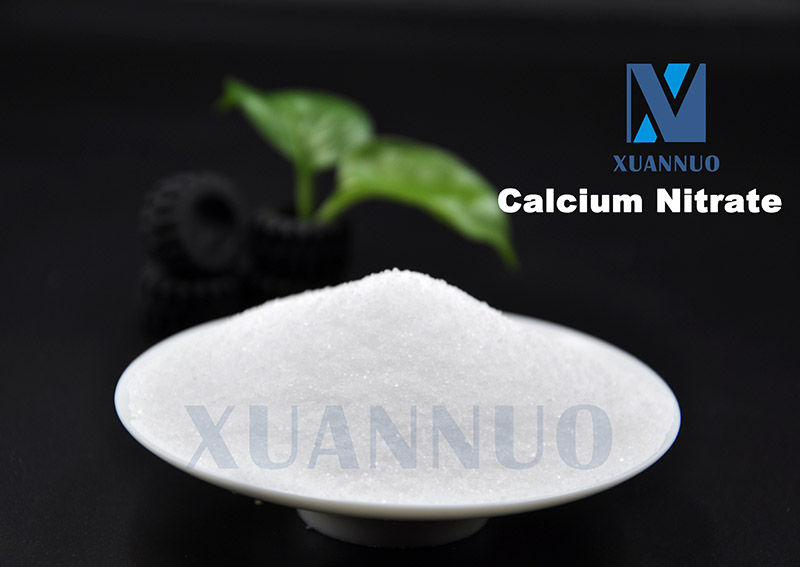 Calcium Nitrate CAS 13477-34-4